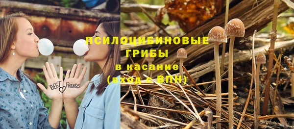 2c-b Верхнеуральск