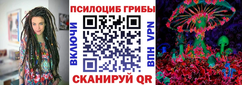 это состав  Махачкала  Псилоцибиновые грибы мицелий 